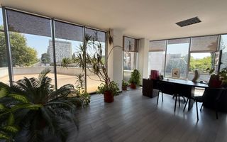 Spațiu comercial și birouri de închiriat –  Bd. N. Titulescu, Craiova - Poză 9
