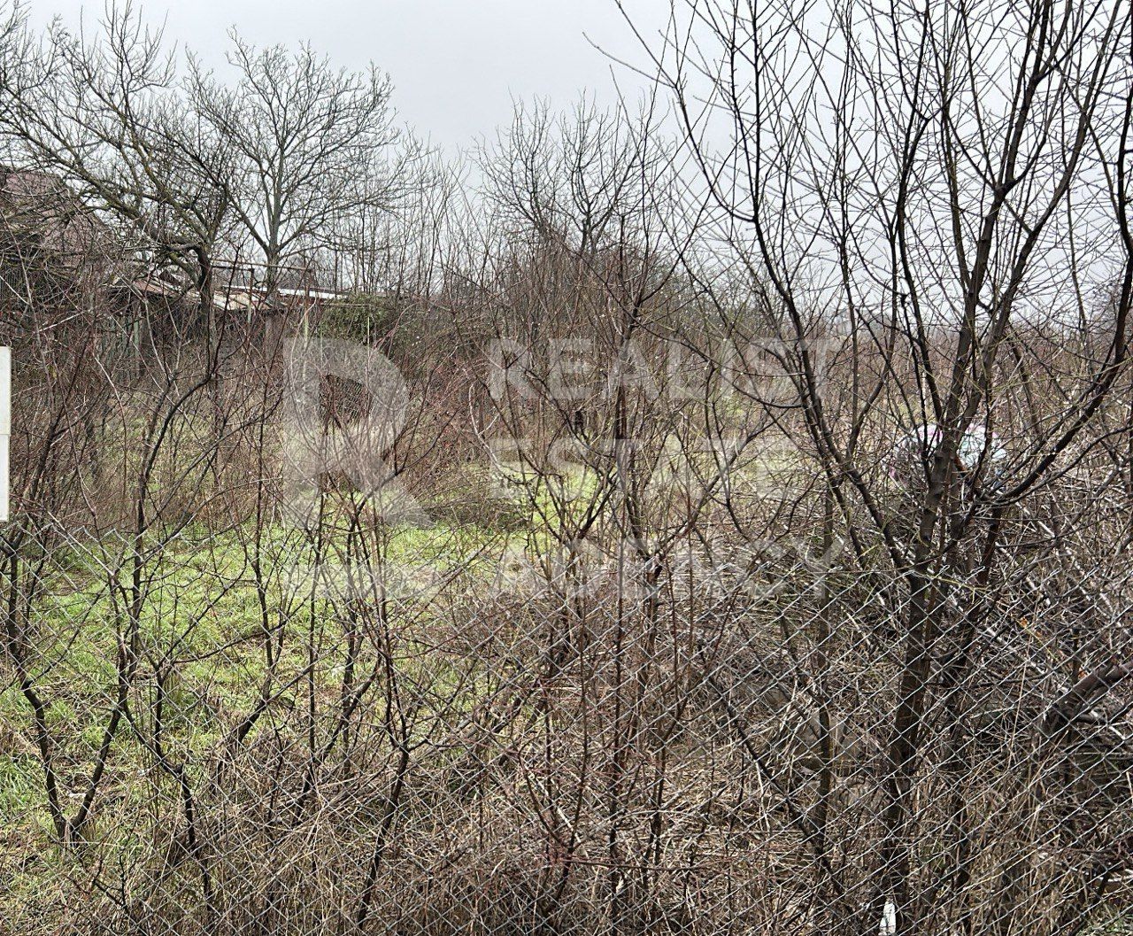 Teren intravilan de vânzare – 5.986 mp, Ciofliceni, Snagov (Ilfov) - Poză 2