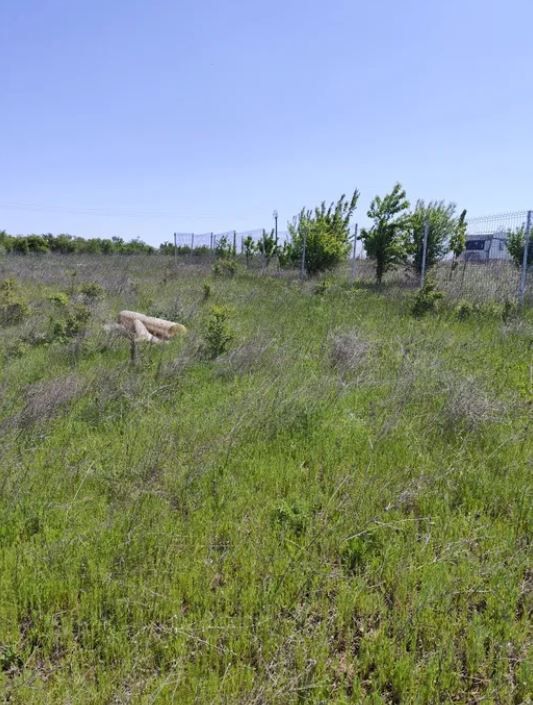 Teren intravilan Peris | 400 mp | Oportunitate investitie - Poză 6