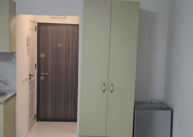 GARS. THEODOR PALLADY, PRIMA INCHIRIERE, BUCATARIE DESCHISA, METROU - Poză 3