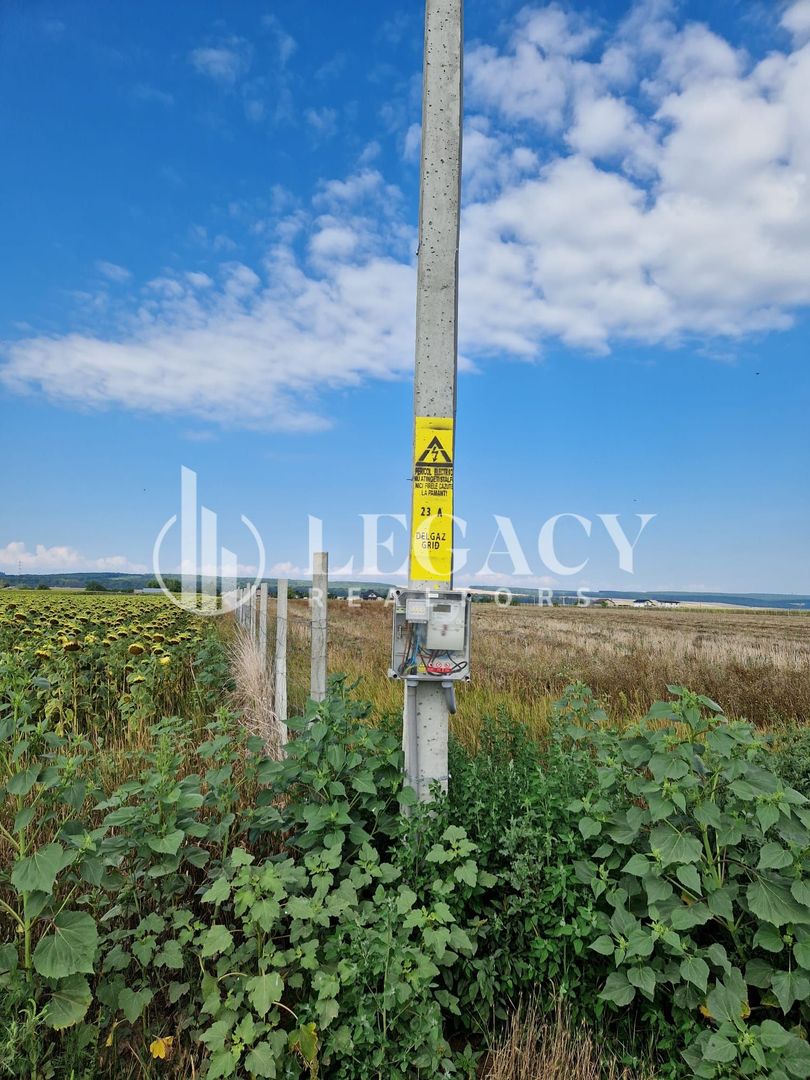Teren pentru investiție, intravilan + extravilan, Mogoșești-Siret - Poză 6