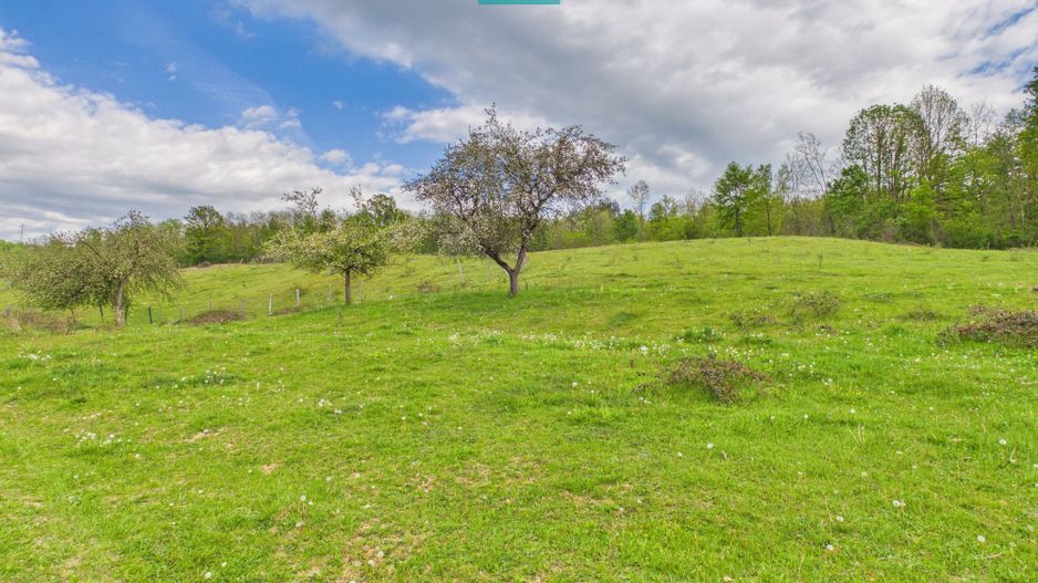 Casă cu teren de 17.681 mp, în loc. Hălmăgel, Arad - Poză 16