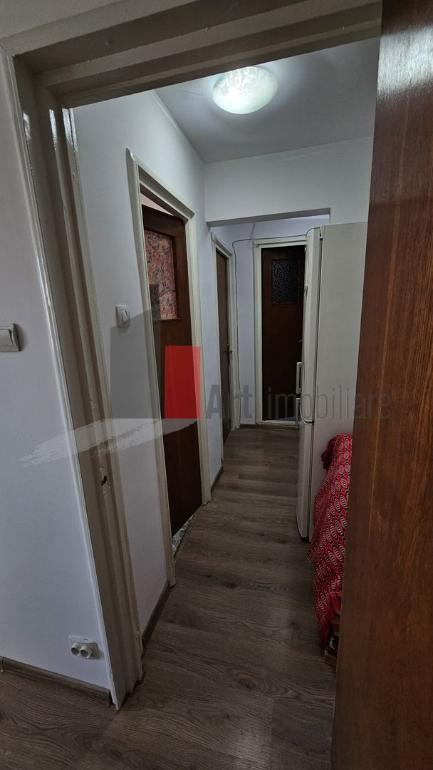 Drumul Taberei - Raul Doamnei - Poză 5