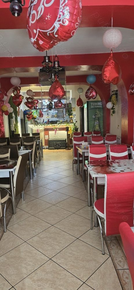 Vânzare case vile - Poză 5