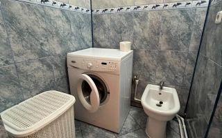 De inchiriat apartament cu 2 camere, etaj 1, Siderurgistilor, 450 E - Poză 7