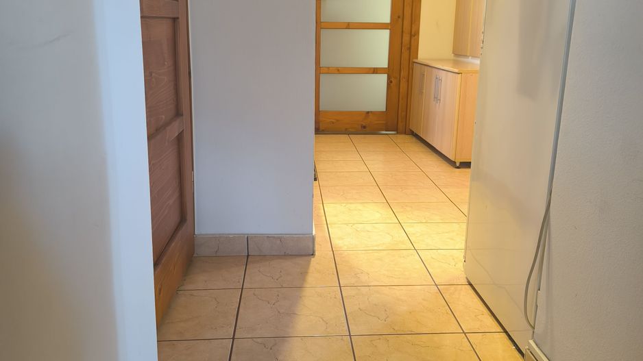 Apartament cu 3 camere Pandurilor (Tudor) pivniță și garaj - Poză 9