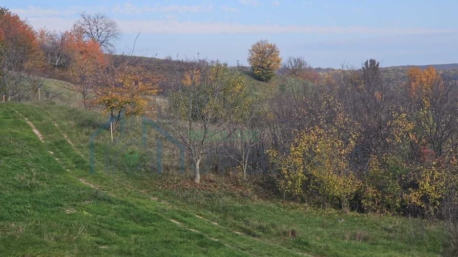Teren intravilan 18.000 mp, Ciurea – Iași | 13 €/mp | 40 m front stradal la asfalt | Utilități - Poză 5