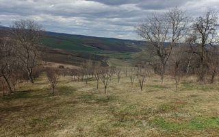 Teren intravilan de vânzare Horodniceni Suceava - Poză 4