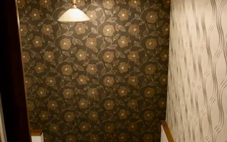 Casa 4 camere - Baneasa - Poză 11
