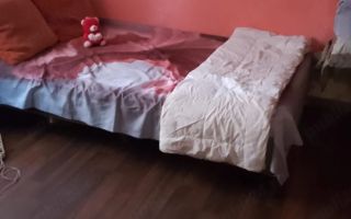 Casă individuala  + construcție nouă | Dudeștii Noi | Teren 1.300 mp - Poză 8