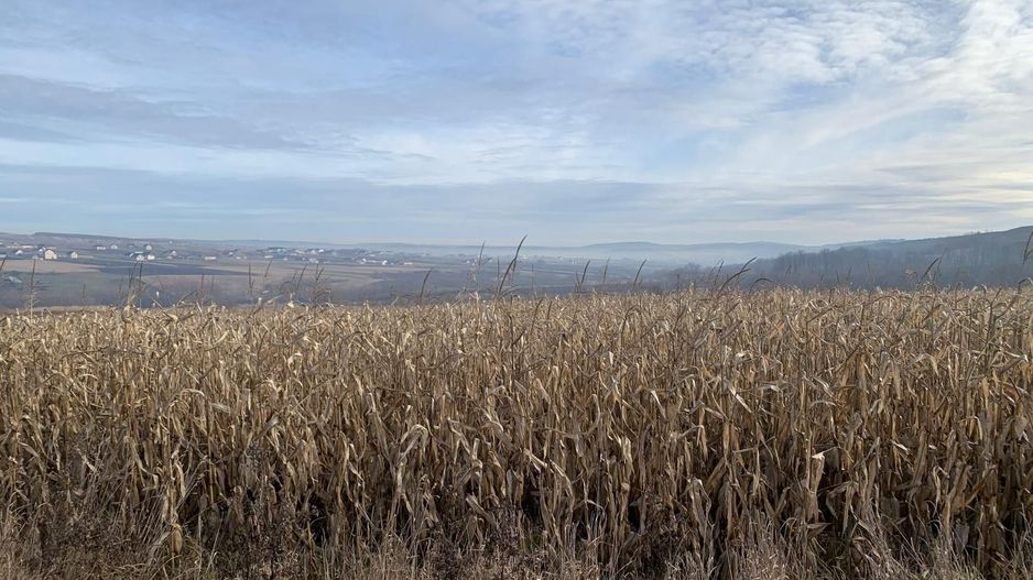 Teren intravilan de vânzare | Cajvana | 7.800 mp - Poză 1