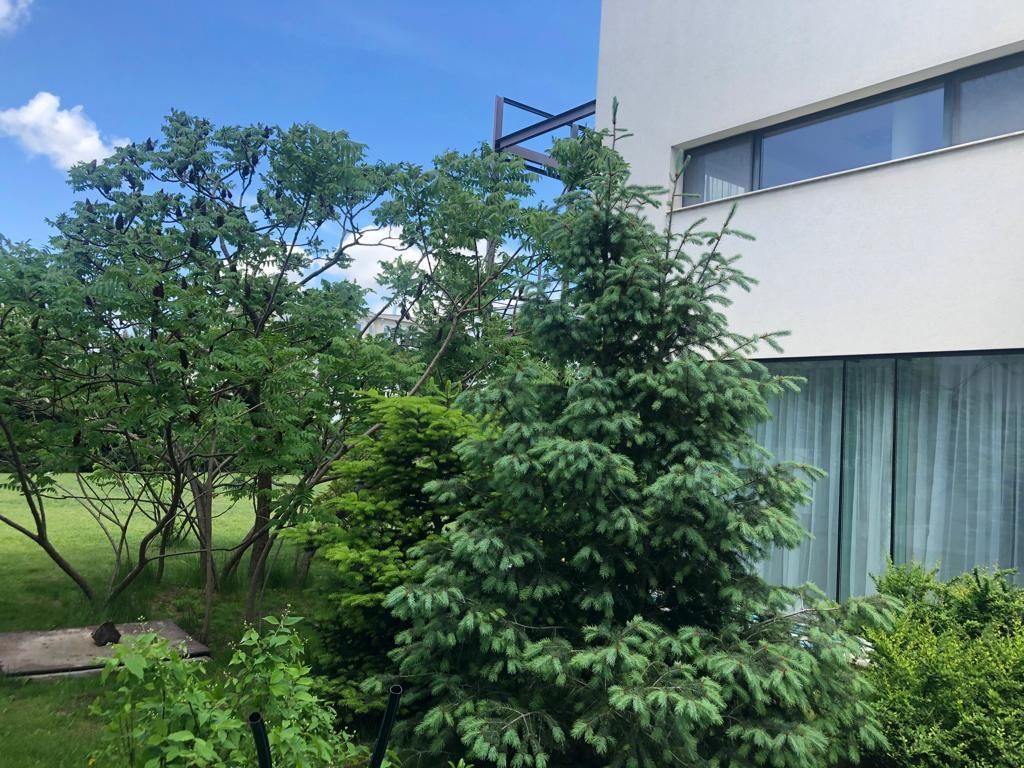 Vilă Individuala | Locație premium | Panouri solare - Poză 8