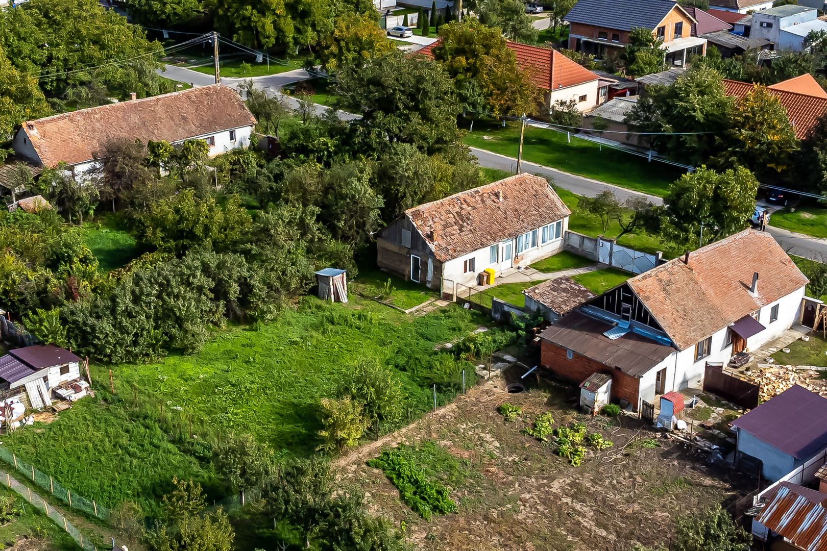 Casă cu grădină în Sântana - Poză 5