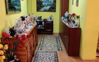 CASA INDIVIDUALA SI HALA CU TEREN  4000 MP - Poză 25