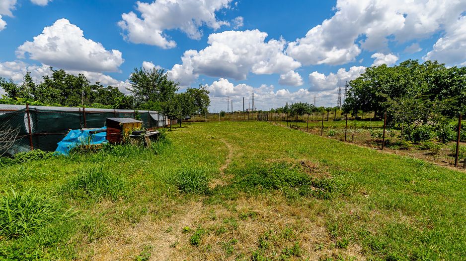 Ofertă rară! Casă cu teren generos în Poltura! - Poză 3