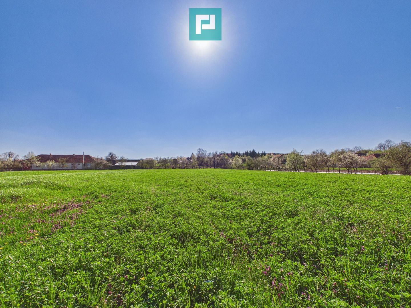 Teren intravilan 3024 mp, în comuna Almaș, Arad - Poză 2