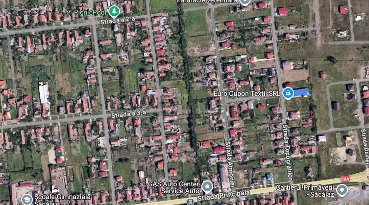 Teren rezidential Sacalaz - Poză 3