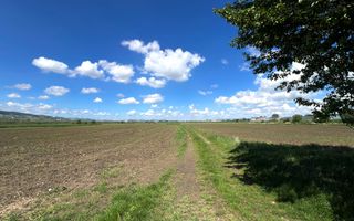 Teren Mixt Industrial de vanzare, 4660mp,  deschidere 41ml - Poză 5