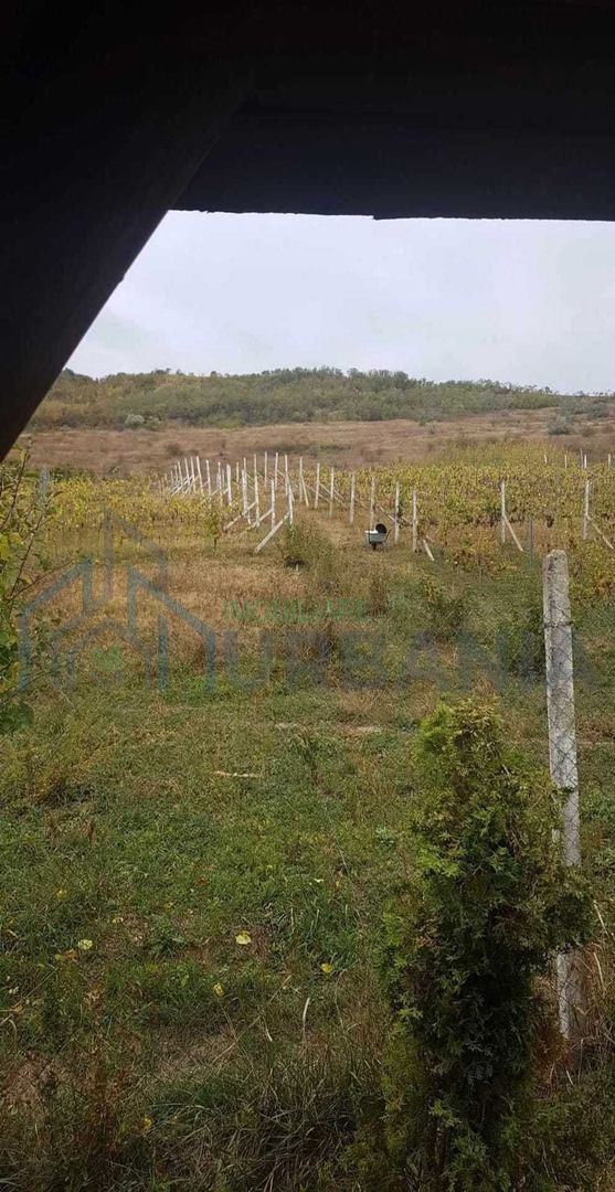 Teren intravilan - Poză 2