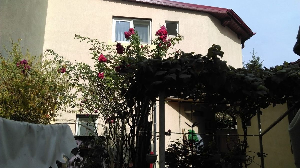 Mihai Bravu, Vitan - Poză 3