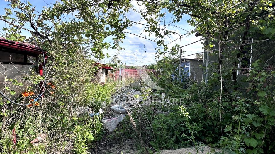 Casa cu anexe si pivniță | Teren intravilan generos | Sannicolau Roman - Poză 30