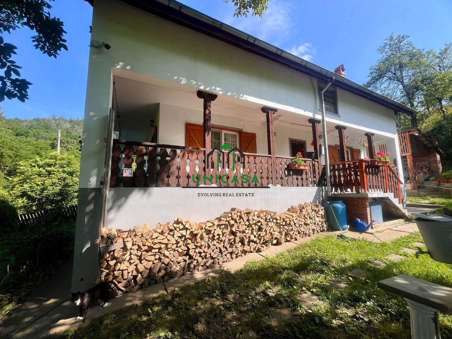Casa cu teren generos 2919 mp/ Sat Andreesti / Comuna Mueresca - Poză 1