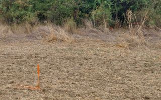 Teren intravilan, 527 mp, deschidere la strada de 17 mp_Teghes (Domnesti) - Poză 1