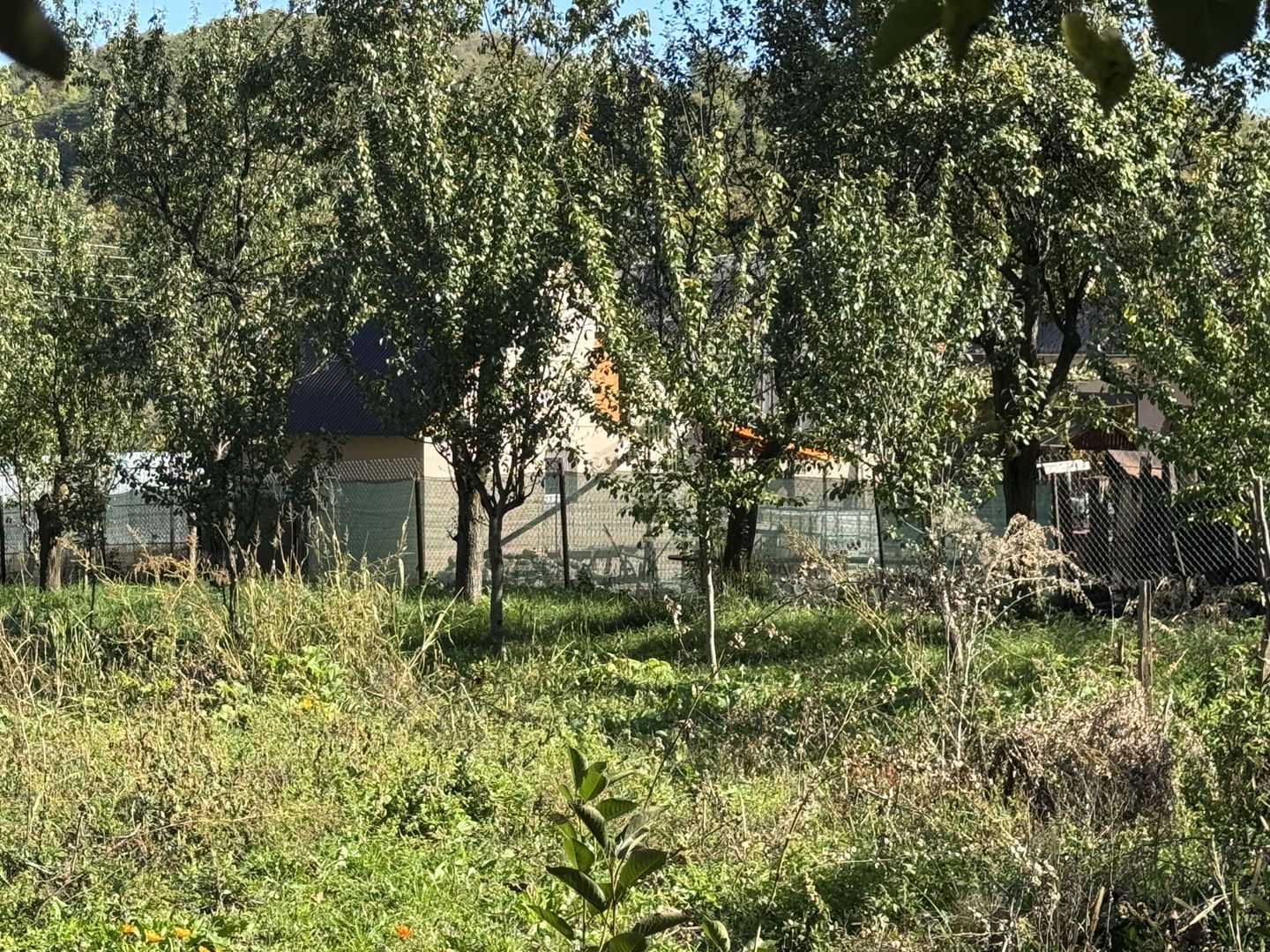 CASA 4 CAMERE TEREN 800 MP CAPUL PISCULUI COMUNA GODENI JUD. ARGES - Poză 20