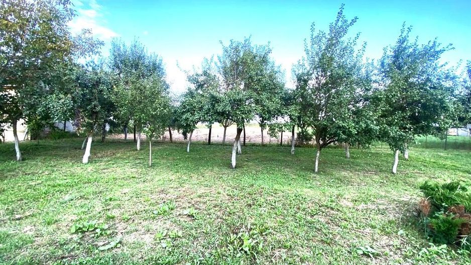 Terenuri de vânzare Boldur - Poză 1