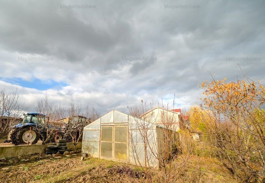 Vanzare ferma agricola Negru Voda - Constanta cu 240 hectare teren si utilaje - Poză 20