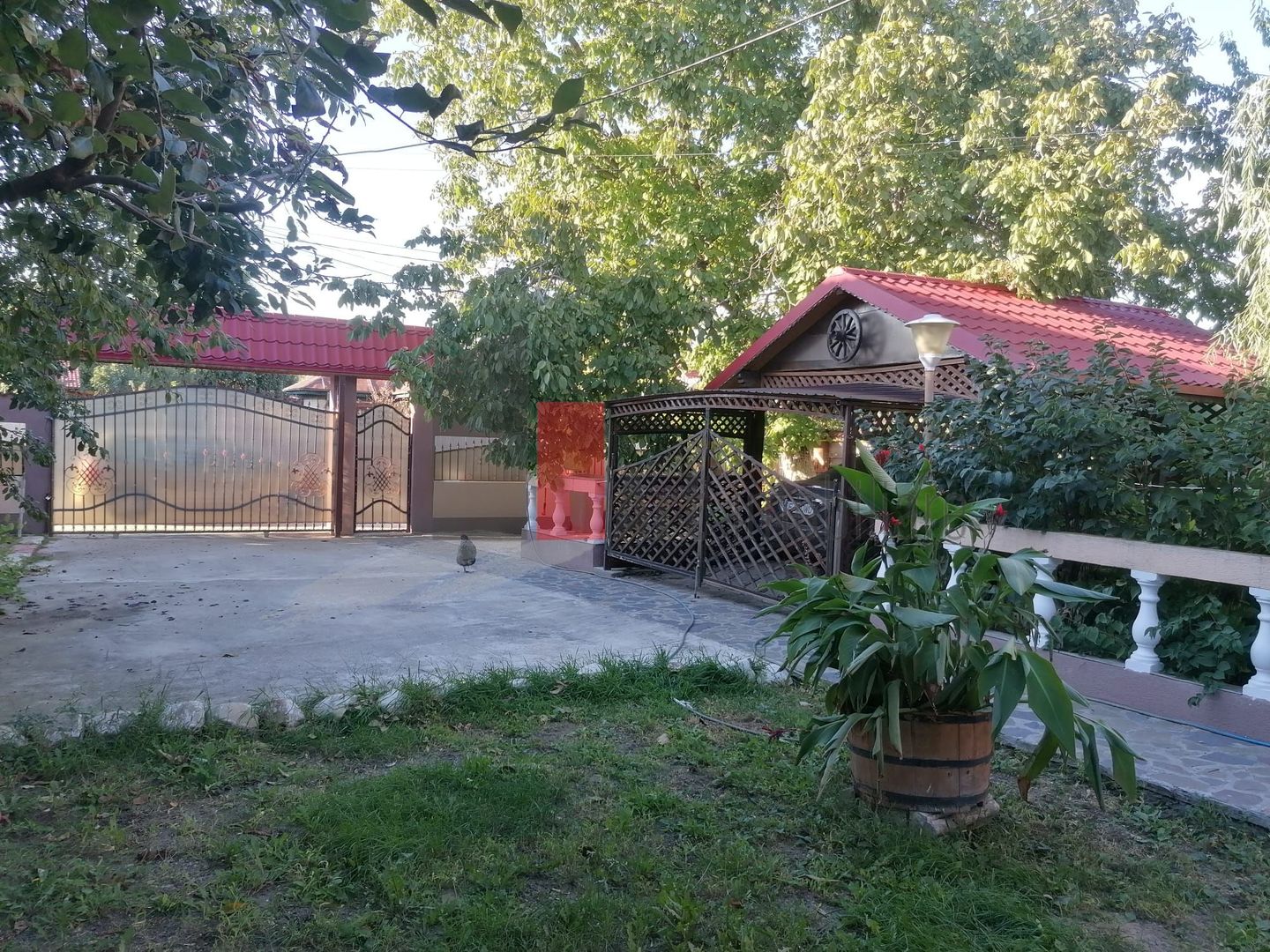 Dascalu-lfov-Vila D+P+M-5 camere-Locatie Deosebita - comision 0 - Poză 17