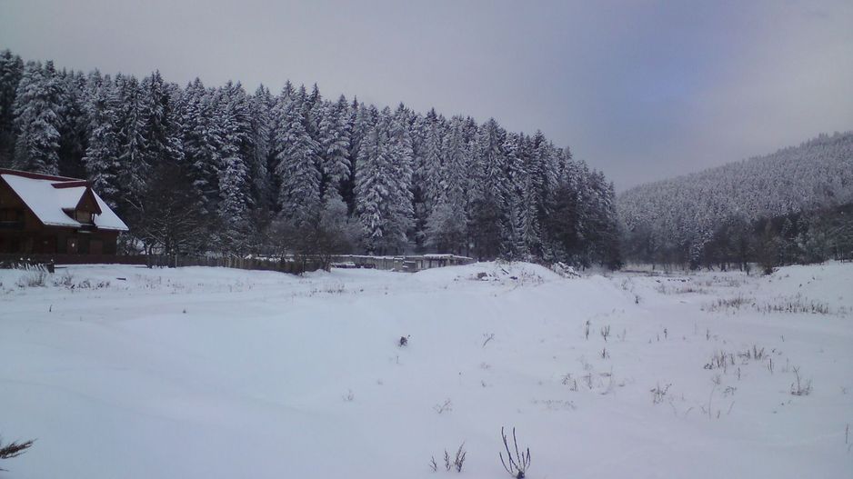 Teren Agapia -județul Neamț - Poză 4