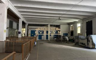 DE ÎNCHIRIAT HALĂ INDUSTRIALĂ – ZONA PENSIUNEA BIANCA - Poză 4