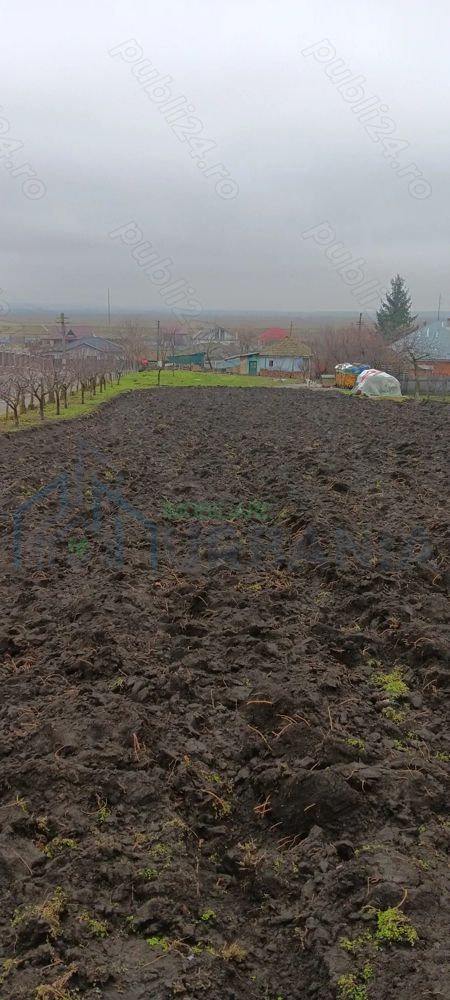 Teren intravilan - Poză 4