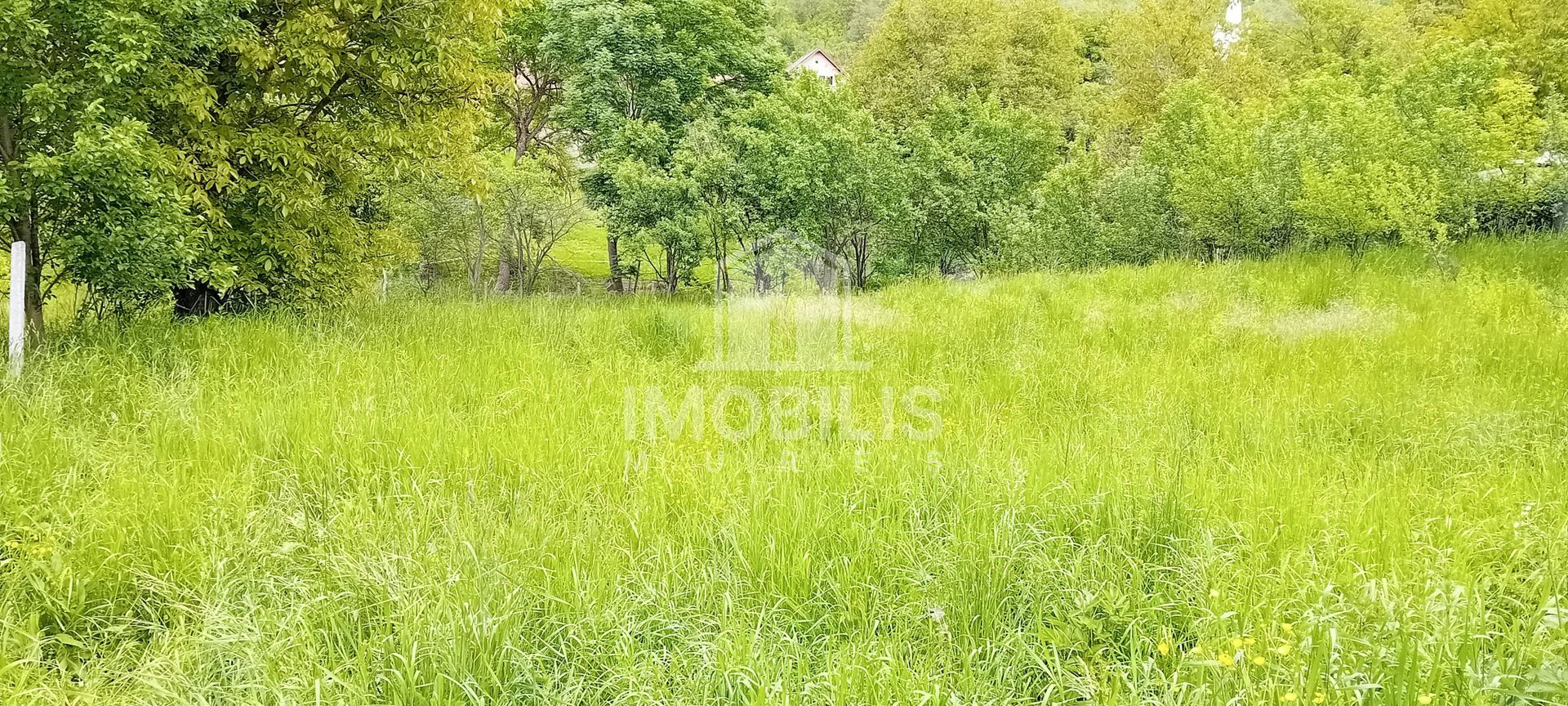 Teren intravilan | Budiu Mic | 994 mp - Poză 8