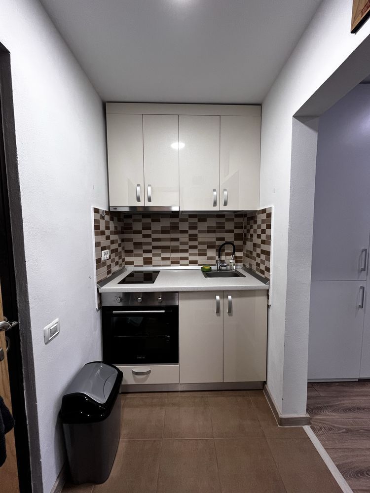 1 Camera | Iosefin - Nicolae Titulescu | Etaj Intermediar - Poză 3