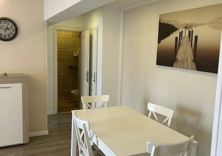 Apartament superb 2 camere, Bălcescu, mobilat complet, balcon, fara risc seismic - Poză 6