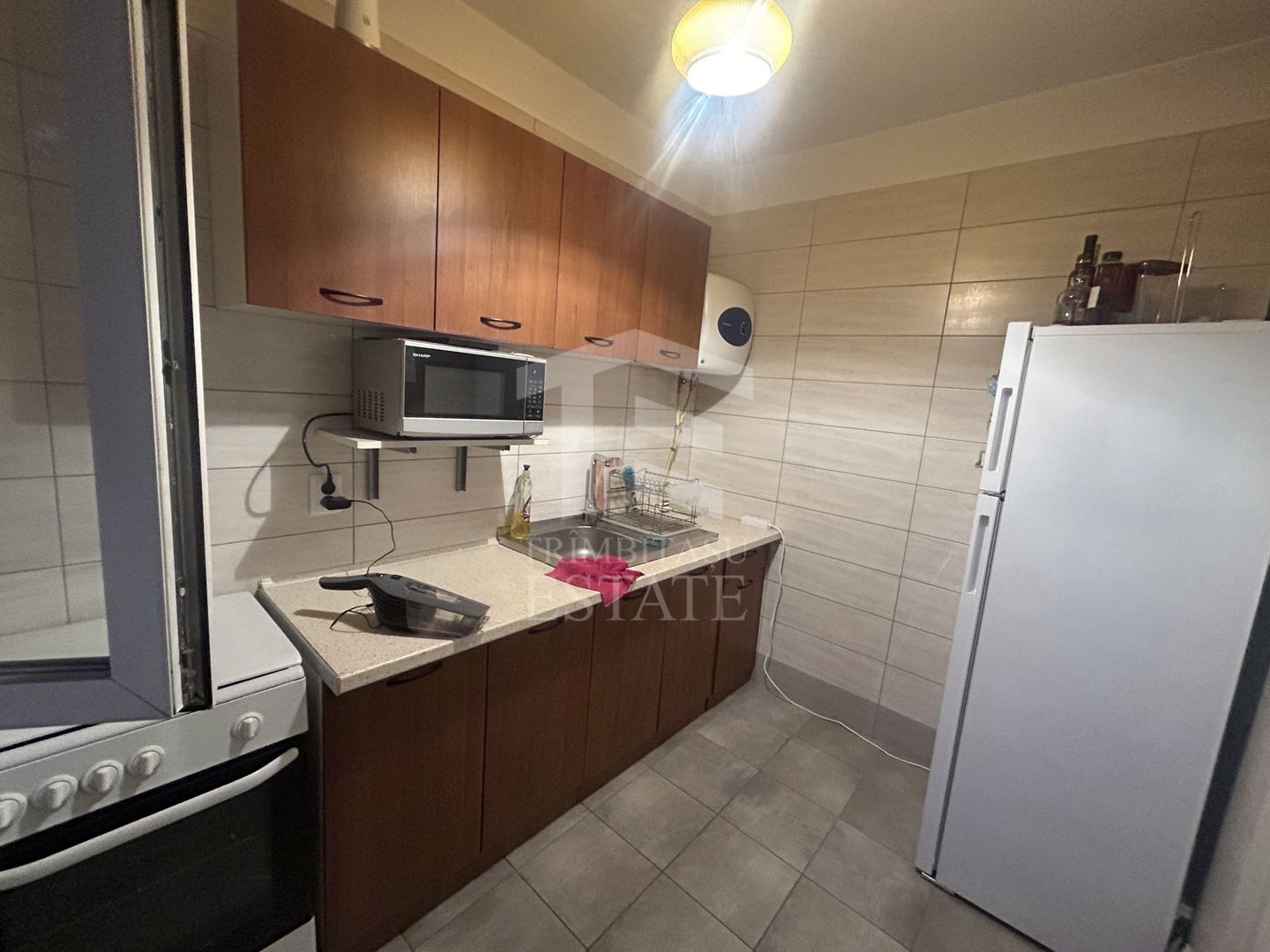 2 Camere Calea Grivitei Pet Friendly - Poză 8