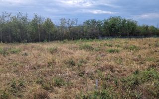 Vanzare teren intravilan, Smeura - Poză 8