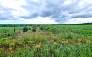 OVIDIU (COD 02)  - teren extravilan 4000 mp - Poză 2