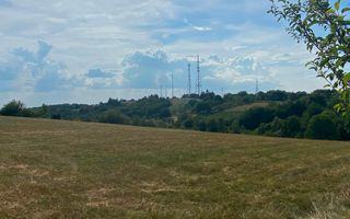 Teren Intravilan | 17.500 mp | Șinteu | Bihor - Poză 2