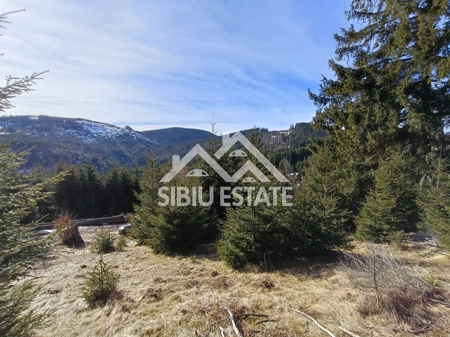 Teren de vânzare în zona montană a județului Alba - Poză 10