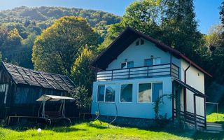 Casa de vacanta Bran/ Predelut - Poză 18