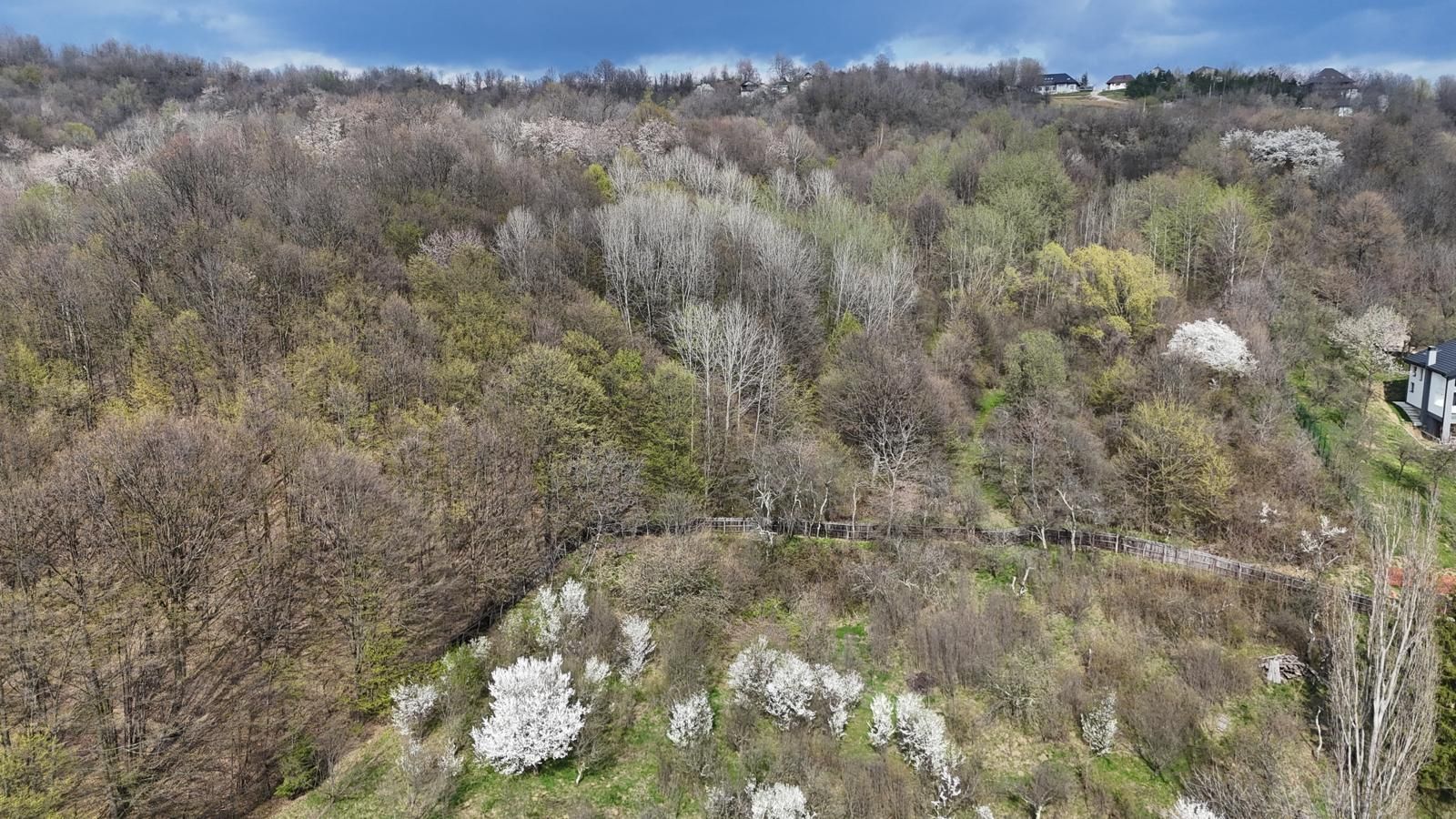 Teren intravilan 4.654 mp, 4 loturi comasate – Cornu de Jos - Poză 2