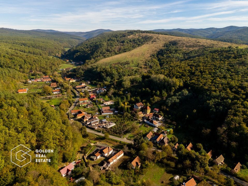 Casa de vacanta, localitatea Cladova, ideal pozitionata - Poză 26