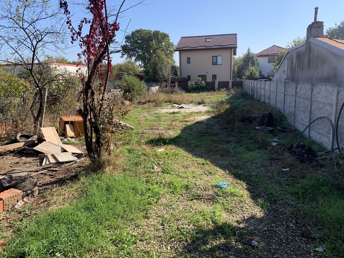 VANZARE TEREN 500MP-SISESTI-PADURE - Poză 4