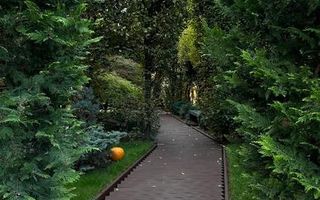 Vila grandioasa in vecinatetea Mall Baneasa - Poză 10
