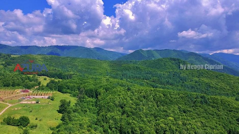 AZURA Imobiliare Pitesti - Casă de vacanță, Nucșoara! - Poză 25