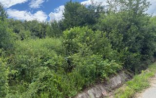 Teren aproape de pădure Jelna - Poză 5