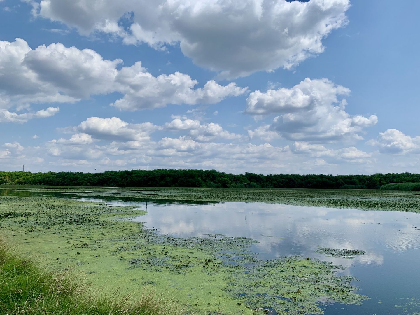 Teren Crevedia 62000 mp - Poză 1